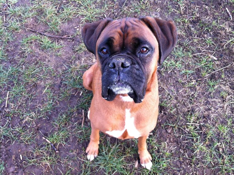 Harvey Diary 10 Jan