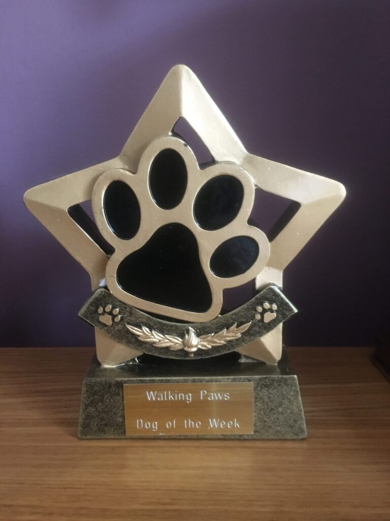 Dog of the Week