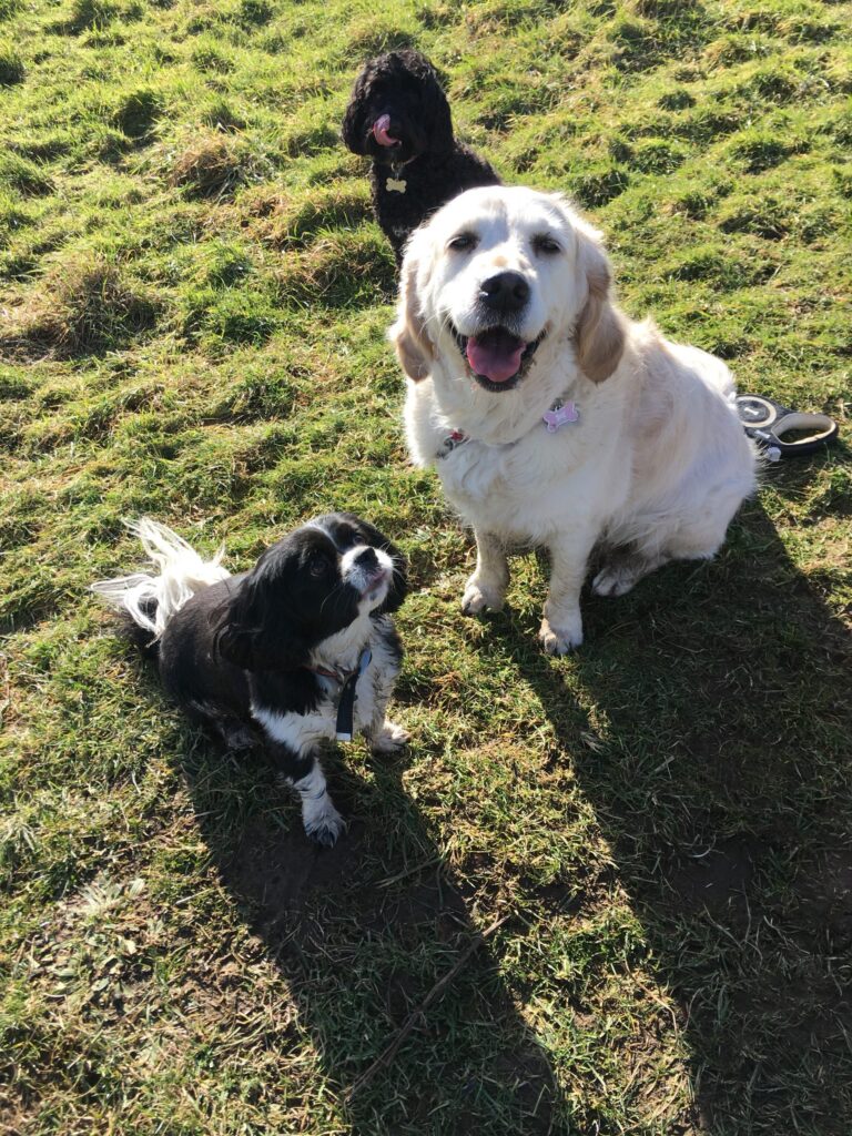 Sally and Tia Diary